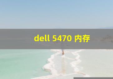 dell 5470 内存